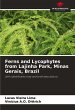 Ferns and Lycophytes from Lajinha Park,... - Bild 1