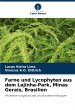 Farne und Lycophyten aus dem... - Bild 1