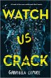 Watch Us Crack - Bild 1