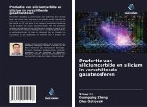 Productie van siliciumcarbide en silicium in verschillende gasatmosferen Productie van siliciumcarbide en silicium in verschillende gasatmosferen