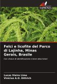 Felci e licofite del Parco di Lajinha, Minas Gerais, Brasile Felci e licofite del Parco di Lajinha, Minas Gerais, Brasile