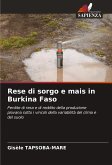 Rese di sorgo e mais in Burkina Faso Rese di sorgo e mais in Burkina Faso