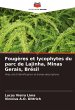 Fougères et lycophytes du parc de... - Bild 1
