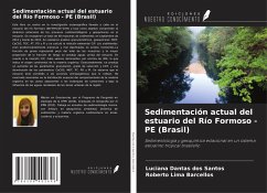 Cover Sedimentación actual del estuario del Río Formoso - PE (Brasil)