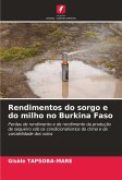 Rendimentos do sorgo e do milho no Burkina Faso Rendimentos do sorgo e do milho no Burkina Faso