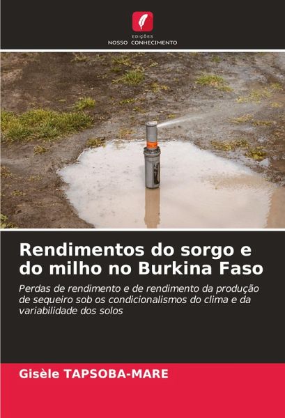 Rendimentos do sorgo e do milho no Burkina Faso