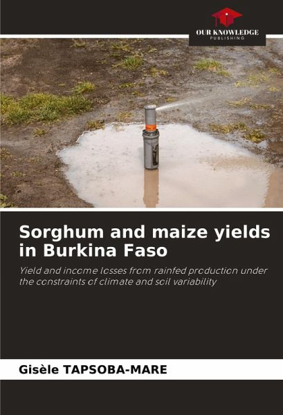 Sorghum and maize yields in Burkina Faso