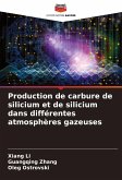 Production de carbure de silicium et de silicium dans différentes atmosphères gazeuses Production de carbure de silicium et de silicium dans différentes atmosphères gazeuses