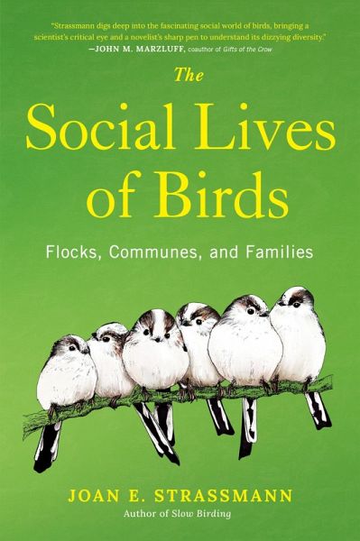 The Social Lives of Birds The Social Lives of Birds