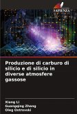 Produzione di carburo di silicio e di silicio in diverse atmosfere gassose