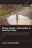 Plony sorgo i kukurydzy w Burkina Faso Plony sorgo i kukurydzy w Burkina Faso