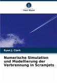 Numerische Simulation und Modellierung der Verbrennung in Scramjets