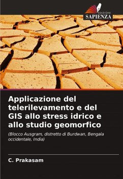 Cover Applicazione del telerilevamento e del GIS allo stress idrico e allo studio geomorfico