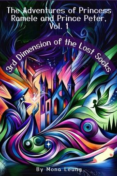 Cover 3rd Dimension of the Lost Socks