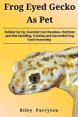 Frog Eyed Gecko as Pet Frog Eyed Gecko as Pet