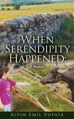 Cover When Serendipity Happened