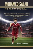 Mohamed Salah Mohamed Salah