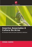 Insectos Associados À Cultura Do Arroz Insectos Associados À Cultura Do Arroz
