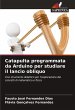 Catapulta programmata da Arduino per... - Bild 1