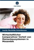 Wirtschaftlicher komparativer Vorteil von Maisanbausystemen in Mosambik