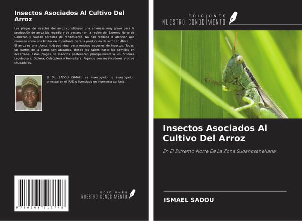 Insectos Asociados Al Cultivo Del Arroz Insectos Asociados Al Cultivo Del Arroz
