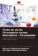 Traits de vie de Chrysoperla carnea... - Bild 1