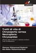 Tratti di vita di Chrysoperla carnea... - Bild 1