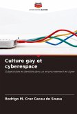 Culture gay et cyberespace