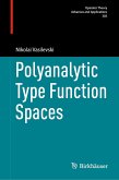 Polyanalytic Type Function Spaces (eBook, PDF)