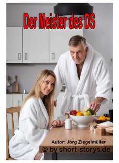 Meister des DS (eBook, ePUB) - Ziegelmüller, Jörg