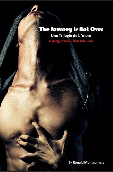 The Journey is Not Over (Book 1 - Love Trilogy - Eros, #1) (eBook, ePUB) The Journey is Not Over (Book 1 - Love Trilogy - Eros, #1) (eBook, ePUB)