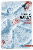 Deep winter (eBook, ePUB)