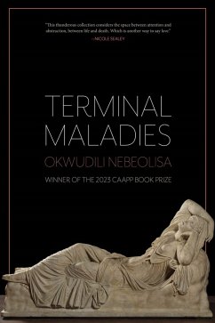 Cover Terminal Maladies (eBook, ePUB)