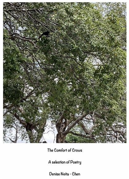 The Comfort of Crows (eBook, ePUB)