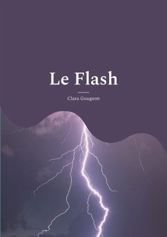 Cover Le Flash (eBook, ePUB)
