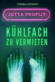 Kühlfach zu vermieten (eBook, ePUB)