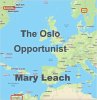 The Oslo Opportunist (Liz Maguire... - Bild 1