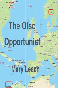 The Oslo Opportunist (Liz Maguire Series) (eBook, ePUB) - Leach, Mary