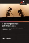 Il Bildungsroman dell'Indonesia