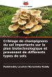 Criblage de champignons du sol... - Bild 1