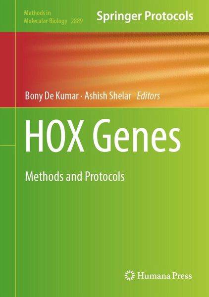 HOX Genes (eBook, PDF)