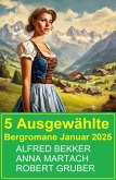 5 Ausgewählte Bergromane Januar 2025 (eBook, ePUB)