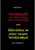 Stromsucht - der kalte Entzug durch Stromausfall und Überleben in einer neuen Wirklichkeit: Weltweite Flutkatastrophe, Klimawandel, Meteoriteneinschlag, Permakultur, Autismus, versunkene Städte (eBook, ePUB)