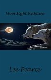 Moonlight Rapture (Rocks End, #1) (eBook, ePUB)