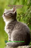 Entrenando A Tu Gato (eBook, ePUB) Entrenando A Tu Gato (eBook, ePUB)