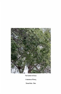 Cover The Comfort of Crows