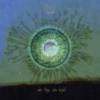 When Things Shine Bright When Things Shine Bright