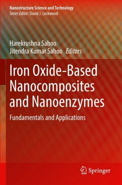 Iron Oxide-Based Nanocomposites and Nanoenzymes