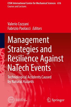 Management Strategies and Resilience Against NaTech Events
