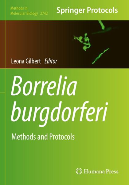 Borrelia burgdorferi Borrelia burgdorferi
